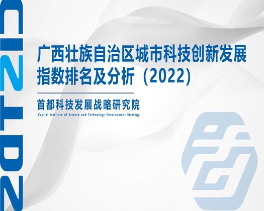 女人露出鸡让男人捅软件【成果发布】广西壮族自治区城市科技创新发展指数排名及分析（2022）